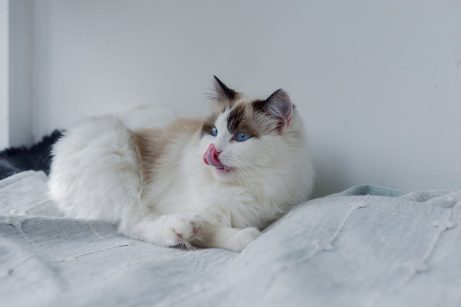 眼部療程：讓你的雙眼閃閃發亮的不二法門