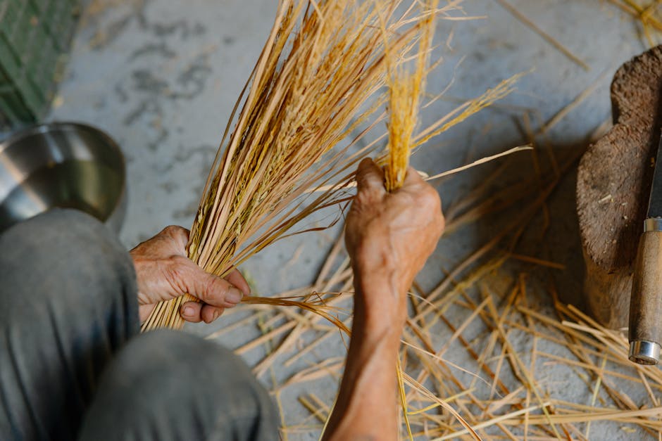 菲律賓工人在香港的生活與貢獻